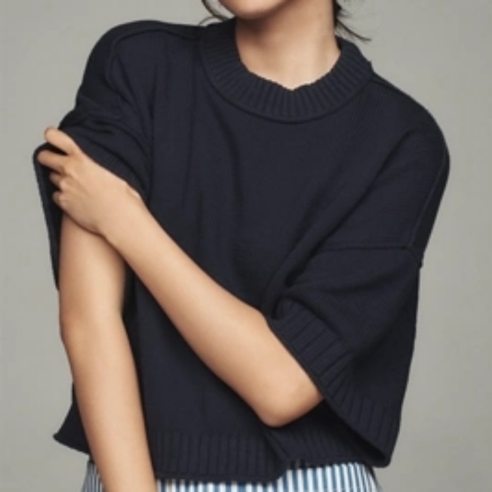 Anthropology Goldie Cashmere Crew Neck